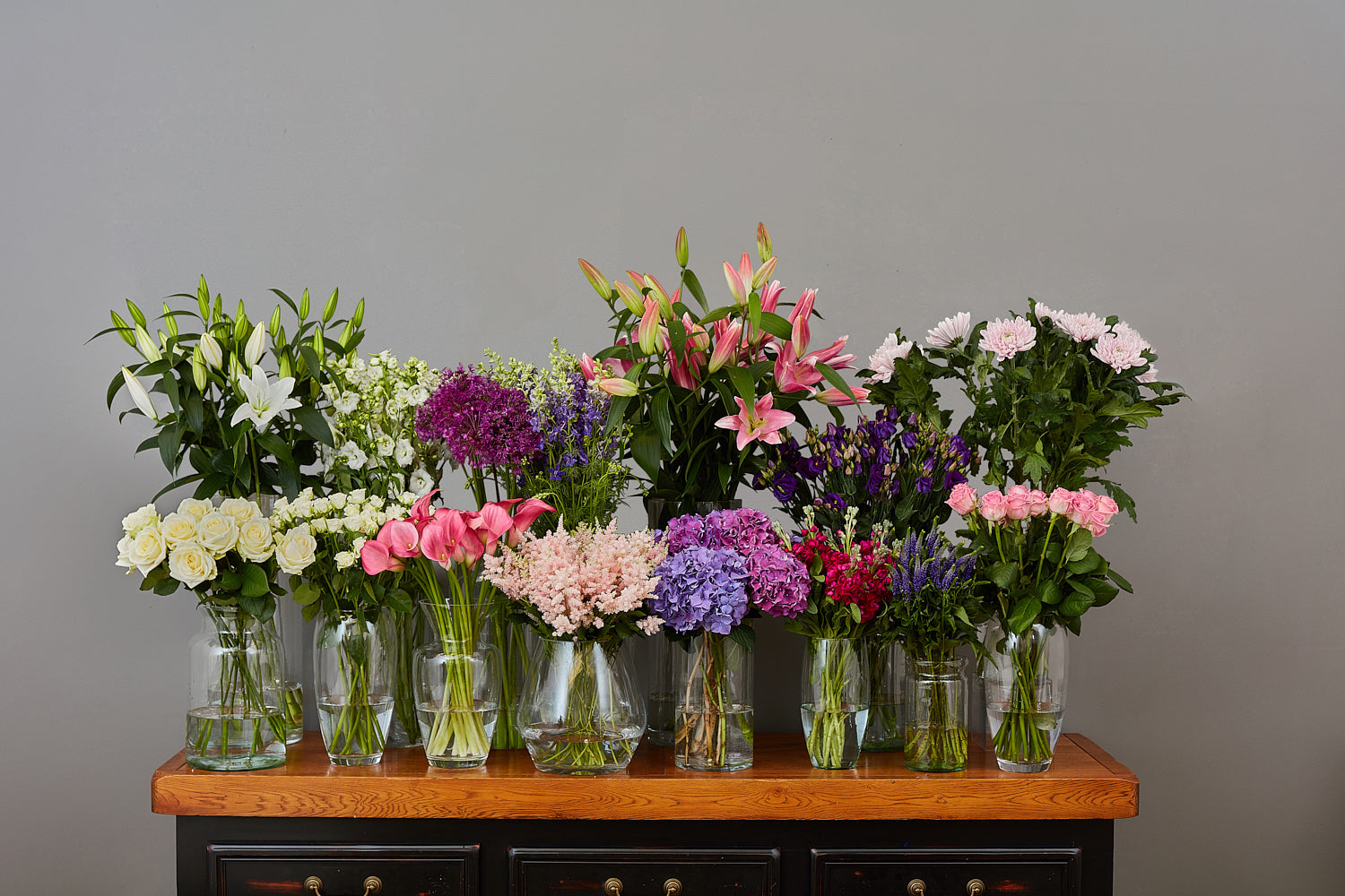 Arbour Blooms 