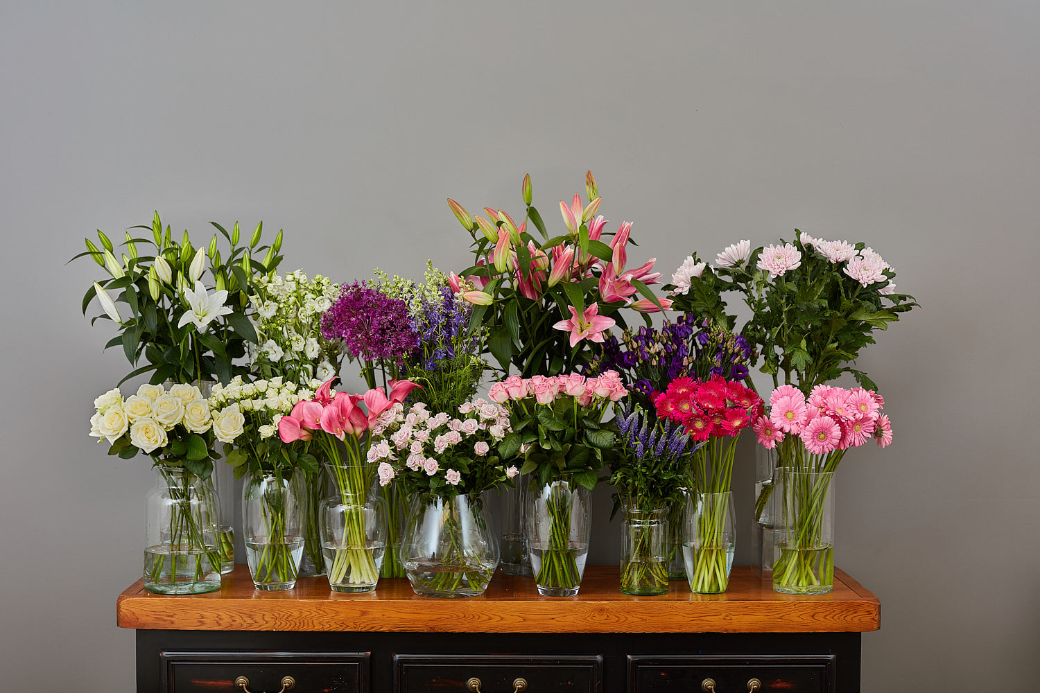 Arbour Blooms 