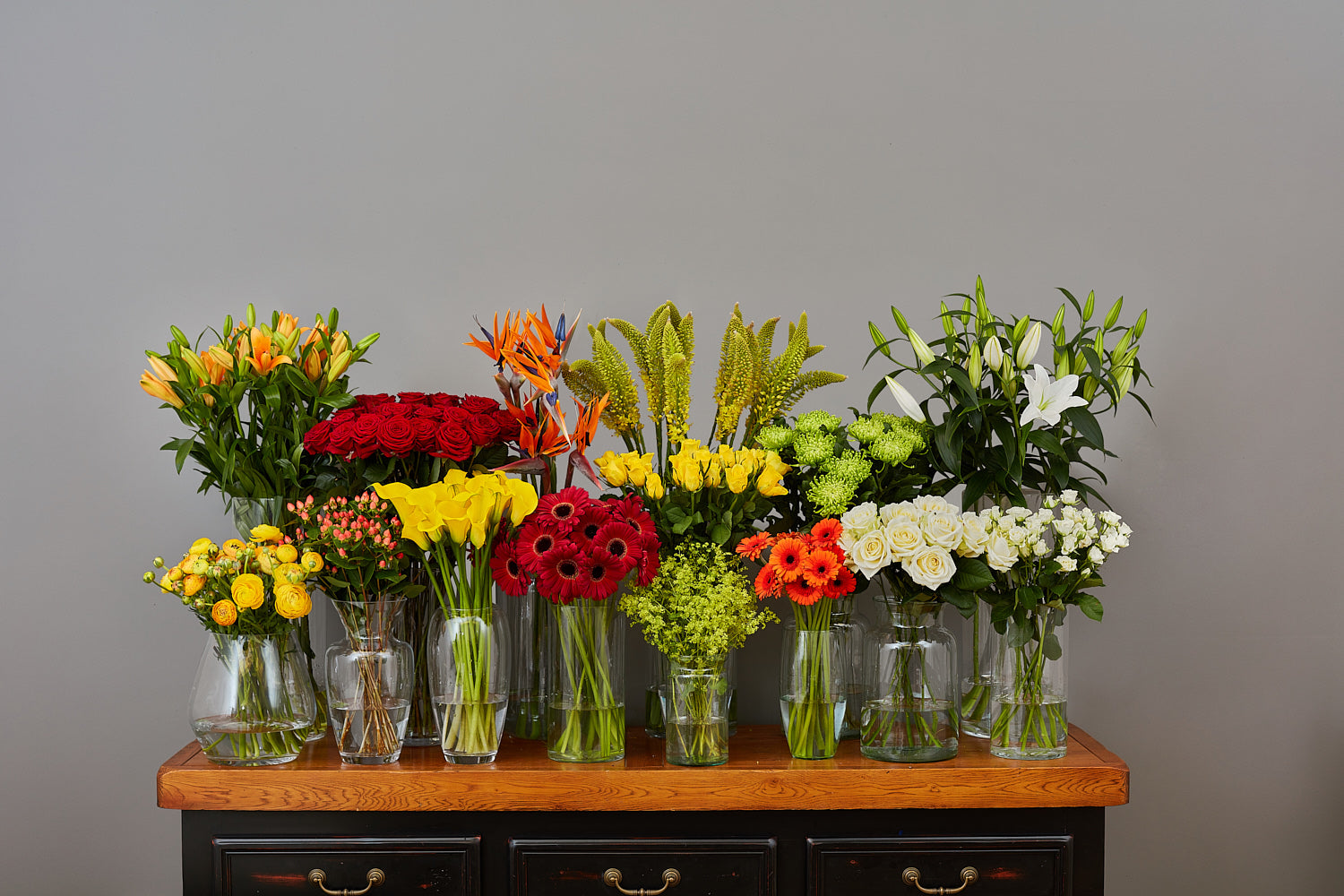 Arbour Blooms 