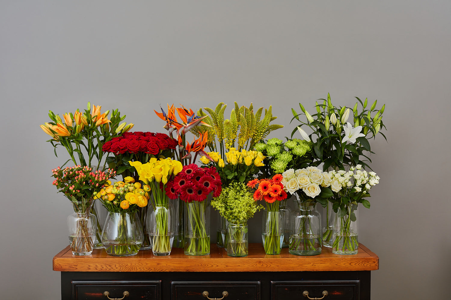Arbour Blooms 