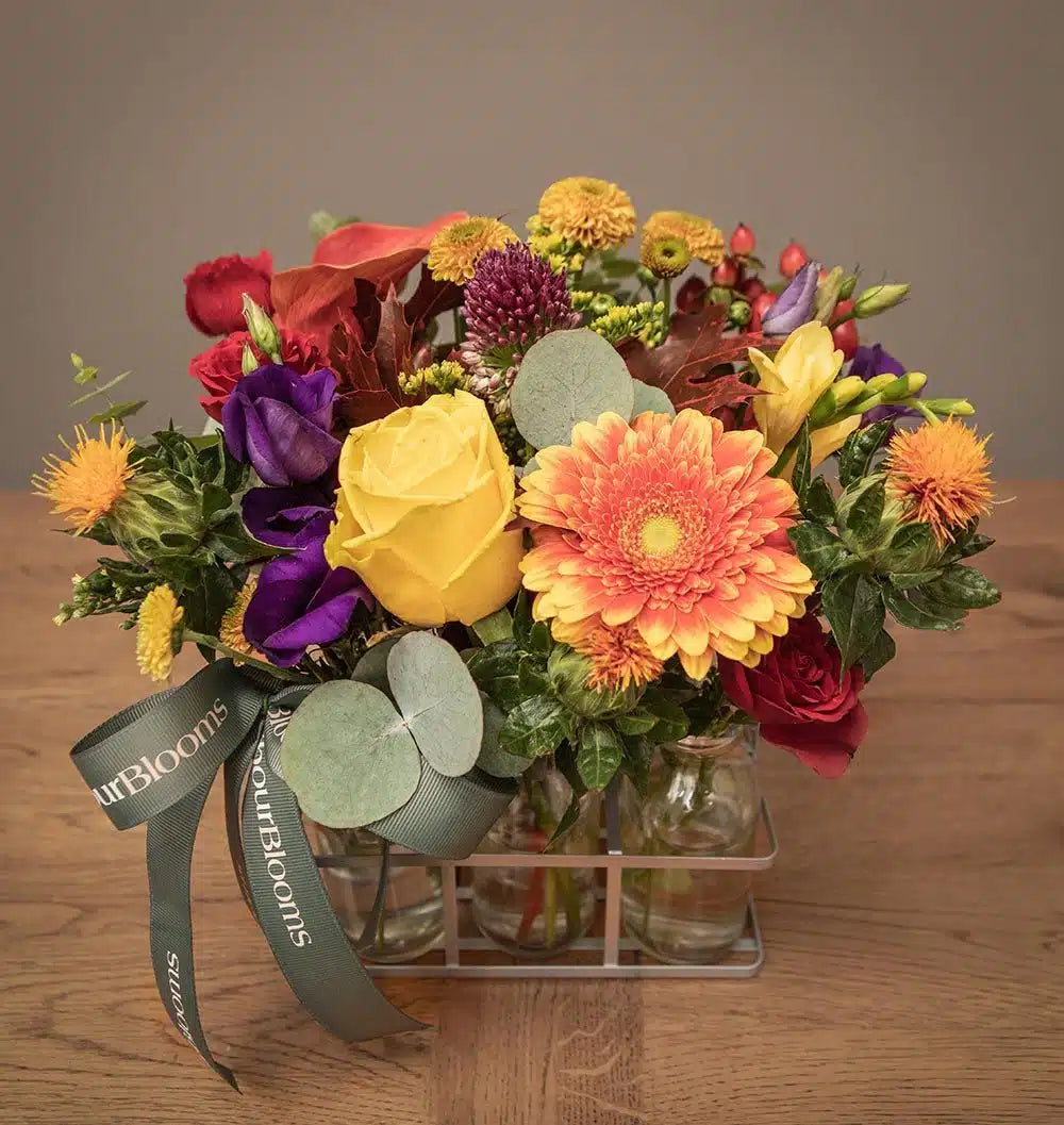 Arbourblooms 53 Edit