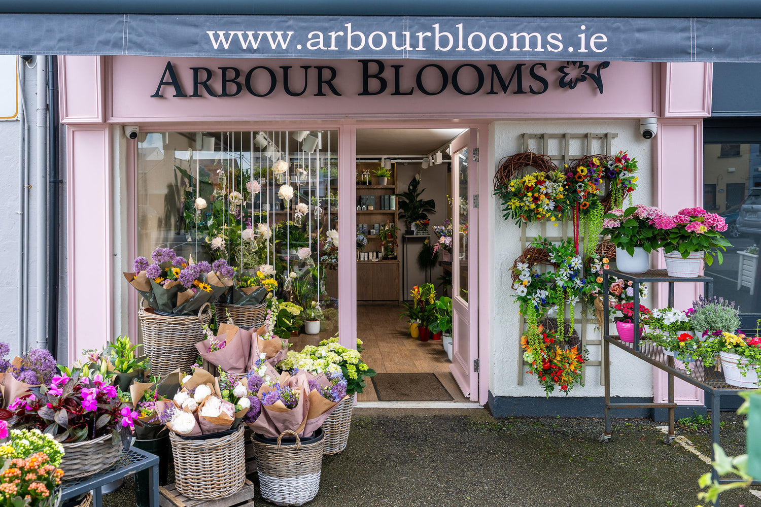 Arbour Blooms 