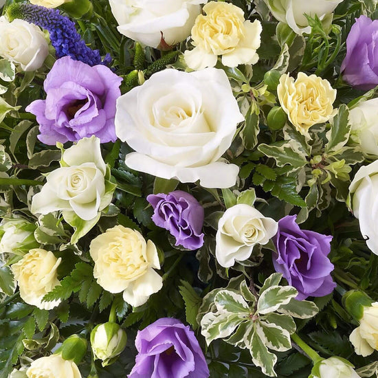 Baby Spray Blue And Lilac 1