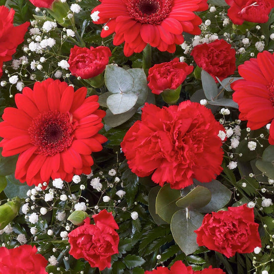 Carnation And Germini Teardrop Spray Red