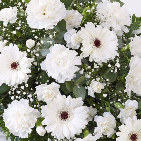 Carnation And Germini Teardrop Spray White1