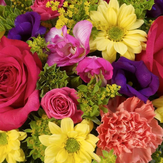 Classic Posy Vibrant 1