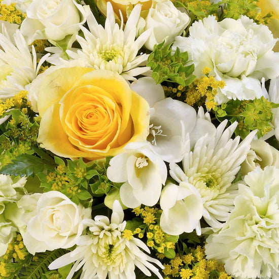 Classic Posy Yellow And White 1