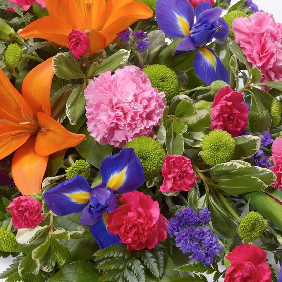 Lily And Iris Teardrop Spray Vibrant 1