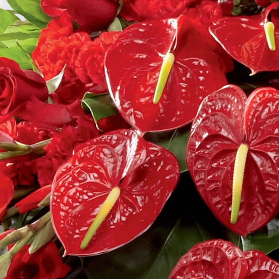 Rose, Orchid And Anthurium Casket Spray 1