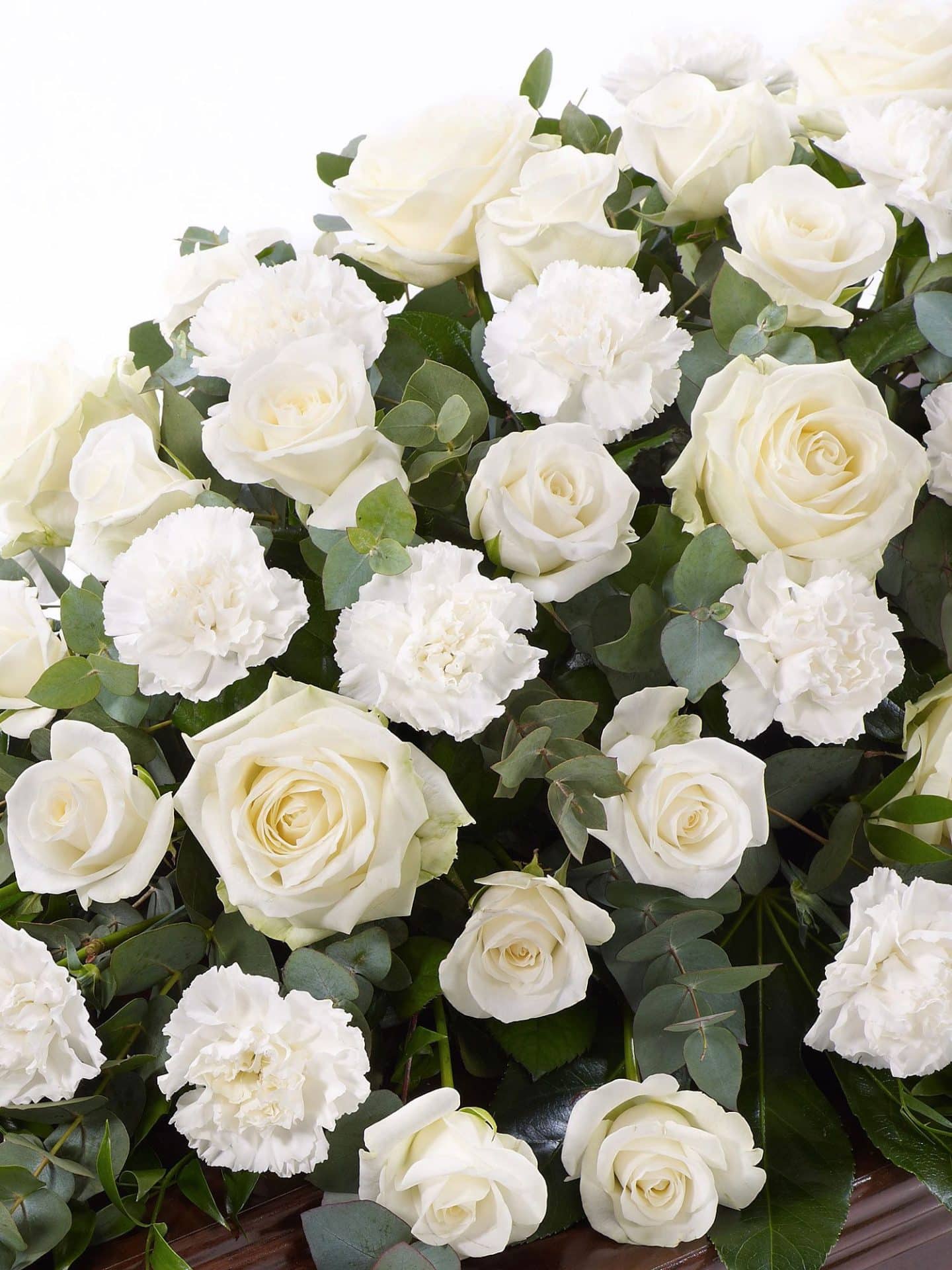 Rose And Carnation Casket Spray White 1
