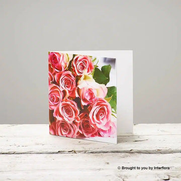 pink rose greetings card