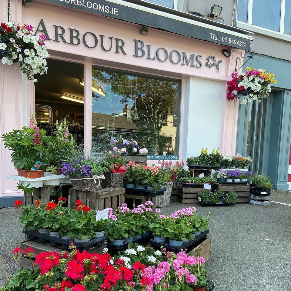 Arbour Blooms Skerries