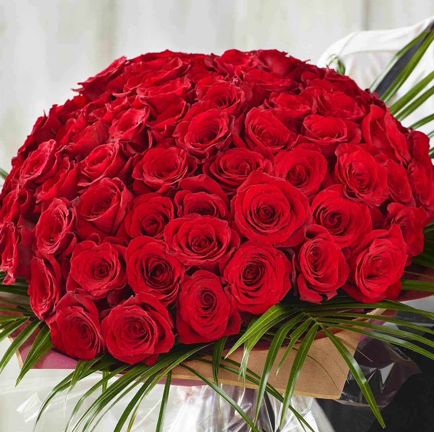 Valentines 100 Red Rose Hand Tied